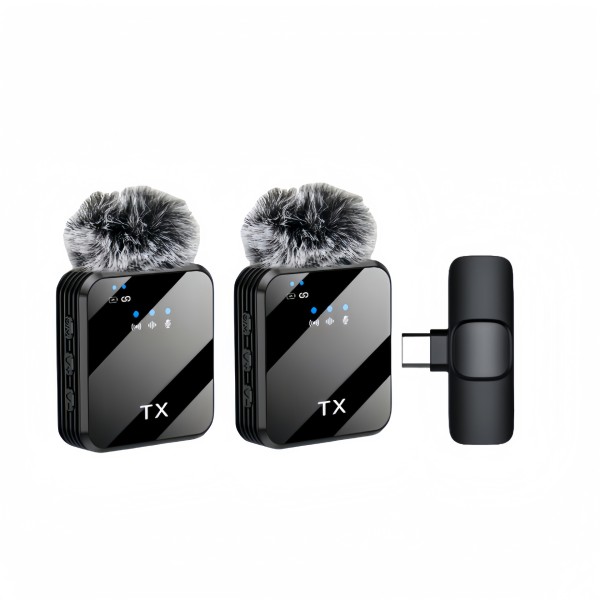 Wireless Microphone Manufacturer - Portable Dual Mini