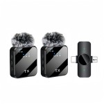 Wireless Microphone Manufacturer - Portable Dual Mini