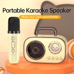 Bluetooth Speaker Manufacturer - OEM Portable Karaoke Speaker