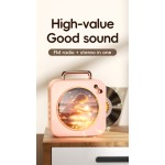 Bluetooth Speaker Manufacturer - OEM Type-c Rechargeable Speaker