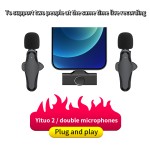 Microphone Manufacturer - OEM Portable 2.4G Wireless Mic