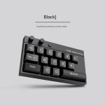 Car Accessories Factory - Custom RGB Backlit Parking Plate