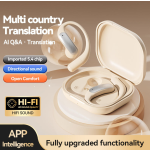 AI Translation Earphone Supplier - Intelligent Assistant
