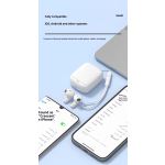 Bluetooth Earbuds Manufacturer - LY19 ENC HD