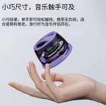 Portable Speaker Manufacturer - New Style 5.3