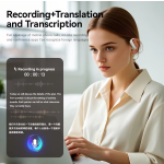 AI Translation Earphone Supplier - Intelligent Assistant