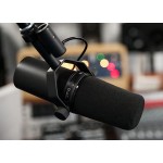 Condenser Microphone Factory - 2025 Sm7b Professional