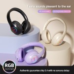 Studio Headphone Manufacturer - 2025 New BT812