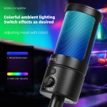 Microphone Supplier - RGB USB Type-C Cardioid