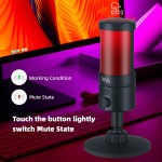 Microphone Supplier - RGB USB Type-C Cardioid