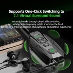 Sound Card Manufacturer - PIVA GS20 Virtual