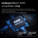 Audio Amplifier Supplier - PIVA BA30 Hi-Res