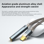 Audio Amplifier Supplier - PIVA BA30 Hi-Res