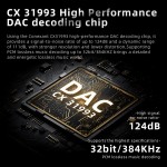 Audio Amplifier Supplier - PIVA BA30 Hi-Res