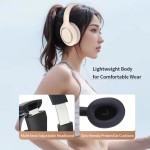 ANC Headphone Factory - P6066 Foldable Gaming