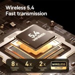 AI Translator Earbuds Supplier - OEM Support M70