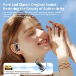 AI Translator Earbuds Factory - New Arrival Q110