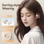 AI Translator Earbuds Manufacturer - Most Popular Real-time