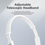 Open Ear Earbuds Manufacturer - T30C Business Calls