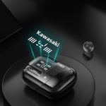 TWS Earbuds Manufacturer - DX-16 Double Bluetooth