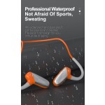 Bone Conduction Headset Supplier - True Wireless Air