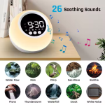 Alarm Clock Factory - Wholesale Kids Sleep Training Clock