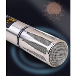 Karaoke System Supplier - UHF Dual Handheld