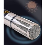 Karaoke System Supplier - UHF Dual Handheld