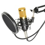 Condenser Microphone Factory - Wholesale Price BM800