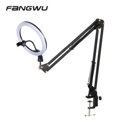 Lamp Manufacturer - Dimmable 26cm Live