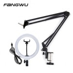 Lamp Manufacturer - Dimmable 26cm Live