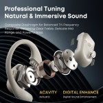 OWS Earbuds Factory - OWS Ear Hook Touch