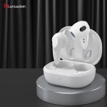 Wireless Earphones Supplier - Long Battery 21H