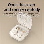 TWS Earphones Supplier - 2023 Mini Sound