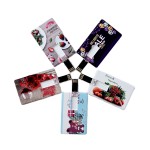 USB Flash Drive Factory - Custom Plastic Credit Card USB