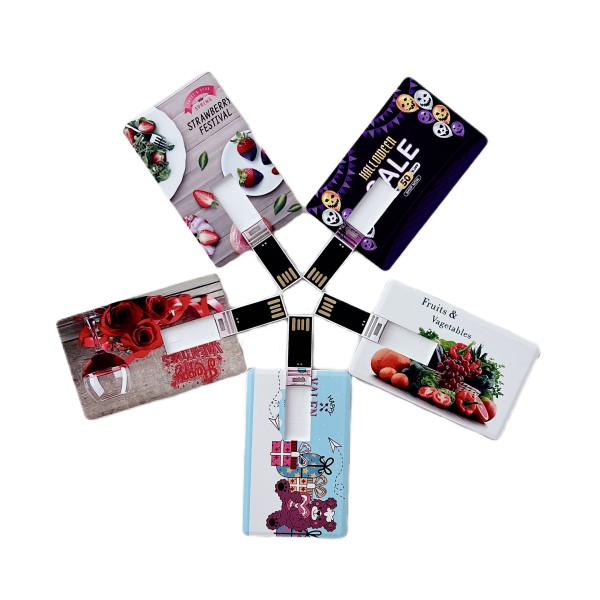 USB Flash Drive Factory - Custom Plastic Credit Card USB