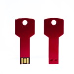 USB Flash Drive Manufacturer - OEM Metal Key Shape Pendrive