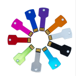 USB Flash Drive Manufacturer - OEM Metal Key Shape Pendrive