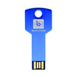 USB Flash Drive Factory - Custom Key Chain USB Flash Disk