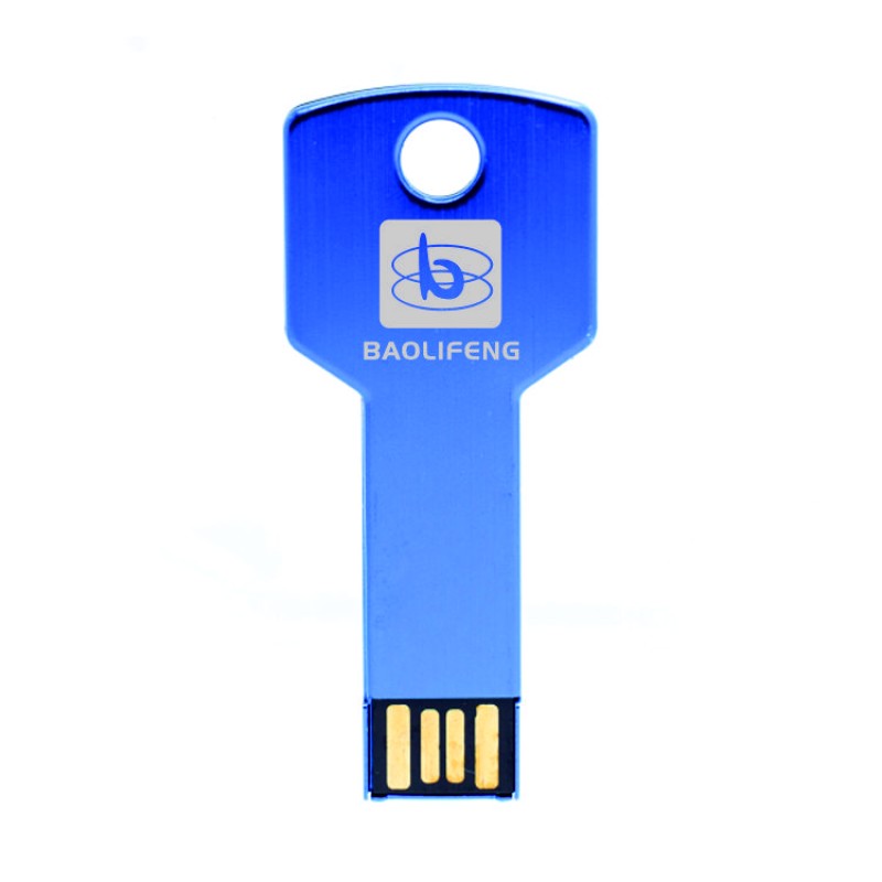 USB Flash Drive Factory - Custom Key Chain USB Flash Disk