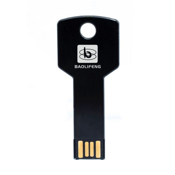 USB Flash Drive Factory - Custom Logo Metal Key USB Drive