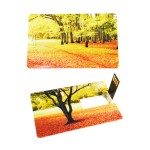USB Flash Drive Factory - Custom Credit Card Memory Drive