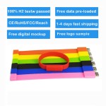 USB Flash Drive Manufacturer - OEM Custom Silicone Bracelet