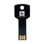 USB Flash Drive Manufacturer - OEM Metal Key Thumb Drive