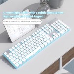 Wireless Keyboard Manufacturer - New Wireless Dual-mode