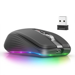 Gaming Mouse Factory - 2.4G Dual-mode RGB