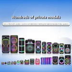 Portable Speaker Supplier - 4-inch RGB Karaoke