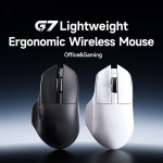 Wireless Mouse Factory - 2.4G Tri-mode Mini