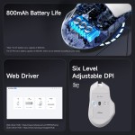 Wireless Mouse Factory - 2.4G Tri-mode Mini