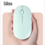 Wireless Mouse Supplier - 2.4G Dual-mode 3D